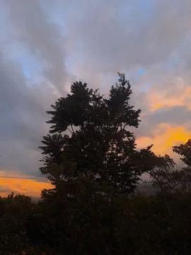 Beautiful sunset Stock Photos