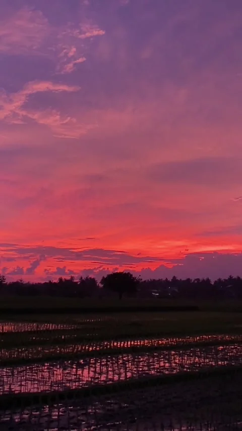 Beautiful sunset with reddish clouds Stock Footage 304193865