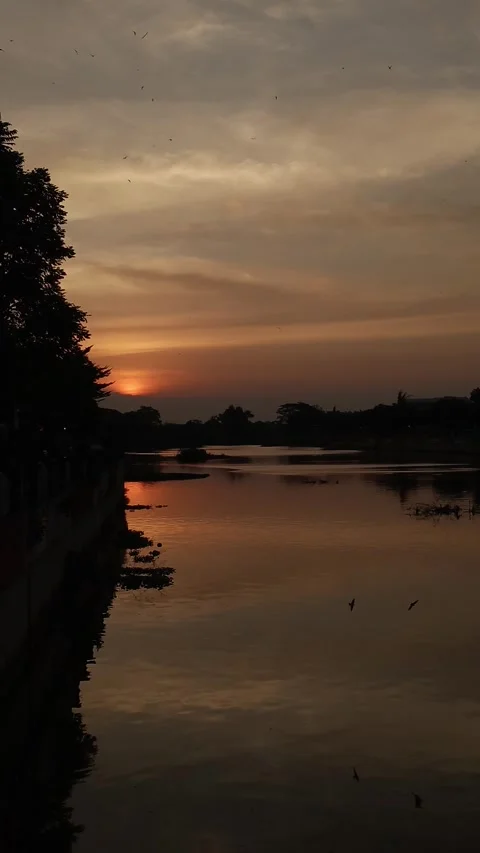 Beautiful sunset reflecting on calm river Stock Footage 313286187