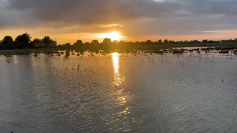 Beautiful sunset reflection on calm water surface with moving waves Stock Footage 316846980