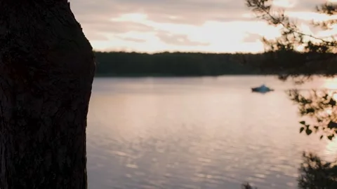 Beautiful sunset on the river bank Stock Footage 329249740