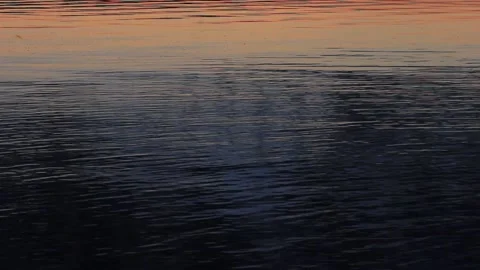 Beautiful sunset on the river. Complete silence. Calm on the river. Stock Footage 135235368