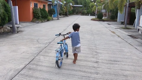 Beautiful sunset at river Stock Footage 73724613