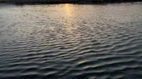 Beautiful sunset on the river Stock Footage 152993799