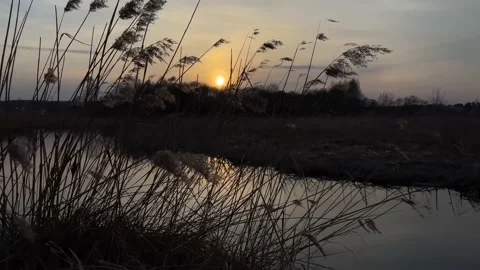 Beautiful sunset on the river Stock Footage 152994025