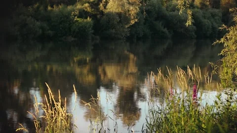 Beautiful sunset on the river Stock Footage 278025817