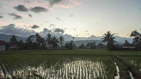 Beautiful sunset in the river Stock Footage 290341239