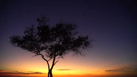 Beautiful sunset rural scene. Stock Footage 146688853