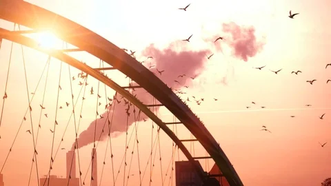 Beautiful sunset scene of bridge construction silhouette Stock Footage 72861874