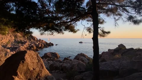 Beautiful sunset in the sea with pine trees Stock Footage 139150736