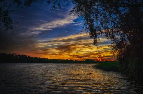 Beautiful sunset seen through pine trees over a lake. Stock Photos
