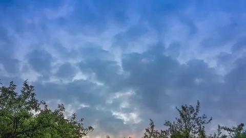 Beautiful sunset sky in blue tones over tops of trees Stock Footage 77460974