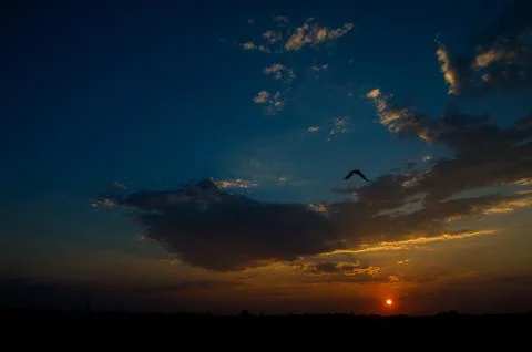 Beautiful sunset sky with clouds. Abstract sky. Stock Photos