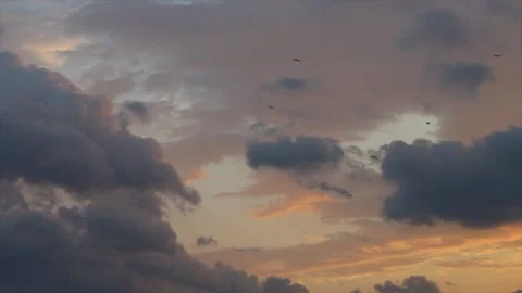 Beautiful sunset sky with clouds, birds soar in the air. Dramatic clouds floa Stock Footage 163677476