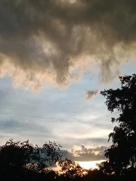 Beautiful sunset sky with dramatic clouds through silhouetted trees Stock Photos