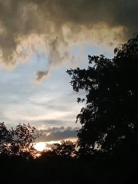 Beautiful sunset sky with dramatic clouds through silhouetted trees Stock Photos