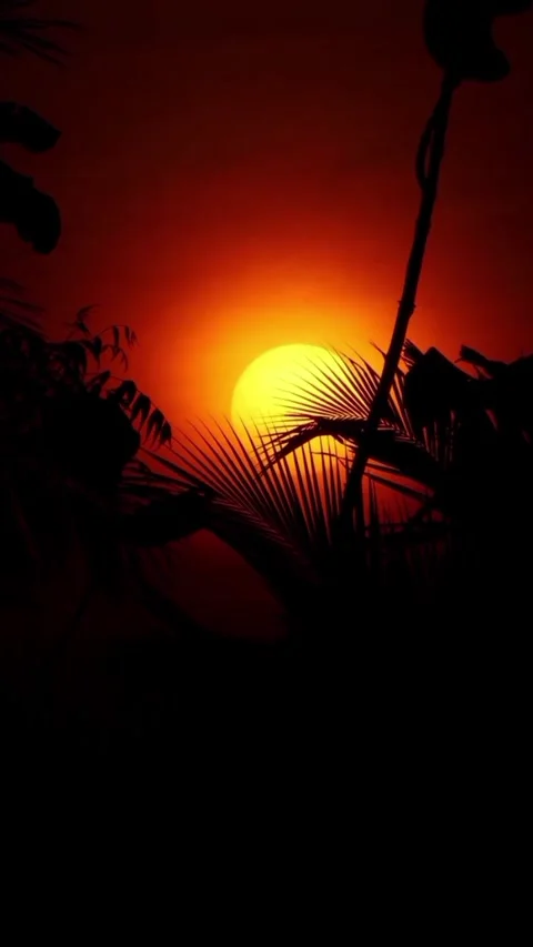 Beautiful sunset in the sky Vidéo 330048907