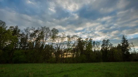 Beautiful sunset sky over spring meadow and forest in Poland. Video stock 89069037