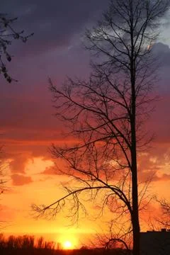 Beautiful sunset in the sky Stock Photos
