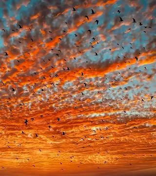 Beautiful sunset sky Stock Photos