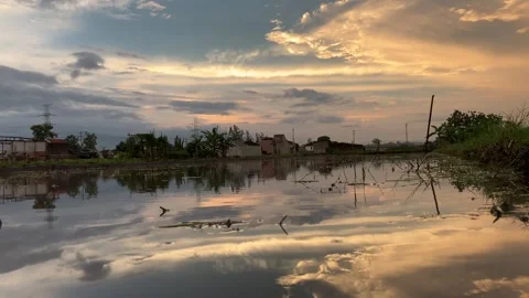 Beautiful Sunset Sky Reflection in Flooded Rice Field Static 4K Stockbeeldmateriaal 296002848