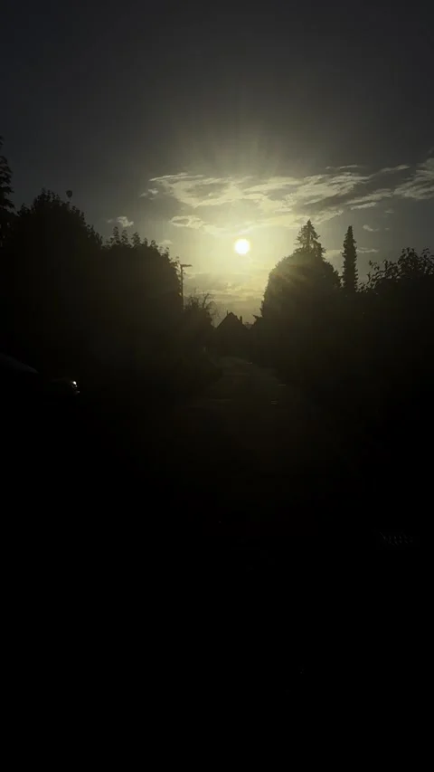 Beautiful Sunset Sky with Silhouette Trees, Golden Sun Rays Shining Through Clou Stock Footage 340238449