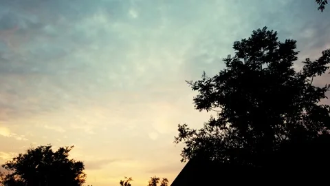 Beautiful sunset sky with silhouettes of trees Stock Footage 341926887