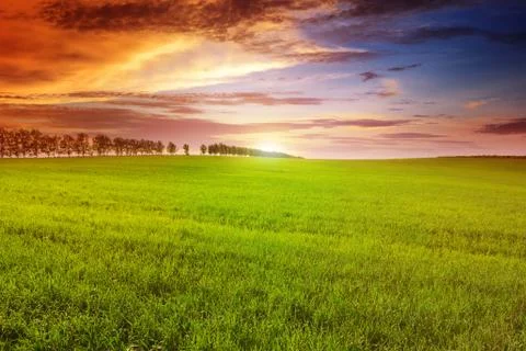 Beautiful sunset on spring field Stock Photos