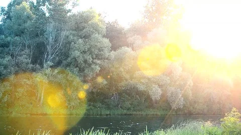 Beautiful sunset with sun light coming through tree foliage Stock Footage 71218265