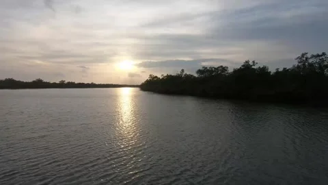 Beautiful sunset in the Sundarbans Stock Footage 252813645