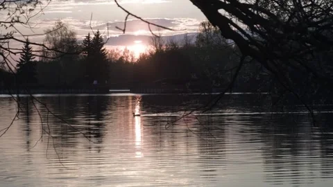 Beautiful sunset, sunset on the pond, sunset over the river, nature Stock Footage 241942194