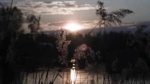 Beautiful sunset, sunset on the pond, sunset over the river, nature Stock Footage 241942198