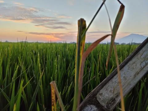 Beautiful sunset, taken around May 23, 2022, East Java, Indonesia, South Asia Stock-Fotos