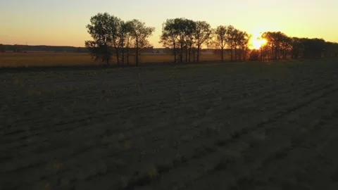 Beautiful sunset through some trees. Stockbeeldmateriaal 153657155