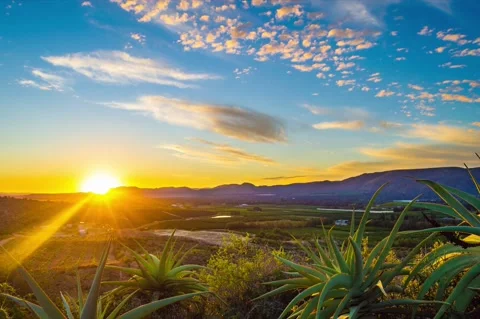 Beautiful sunset time-lapse over citrus orchards in nature with golden landscape Stock Footage 233788441