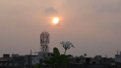 Beautiful sunset time-lapse shot of the evening Stock Footage 245822307