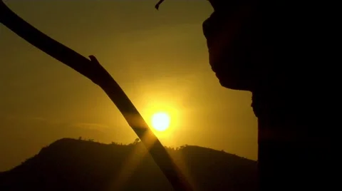 Beautiful Sunset Time Lapse with Tree in Foreground Stock Footage 52816446