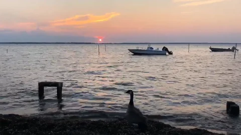 Beautiful Sunset Time lapse video near seashore Stock Footage 127725564