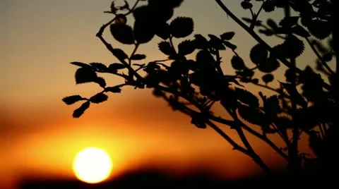 Beautiful sunset (timelapse) Stock Footage 10901059