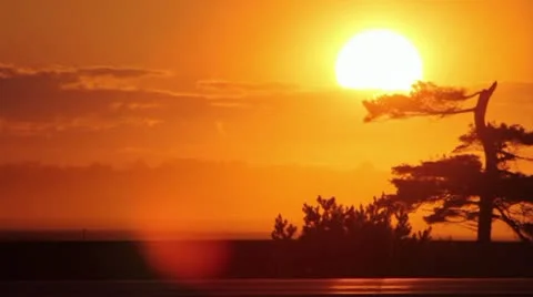 Beautiful Sunset Timelapse on Orange Sky Stock Footage 11135960