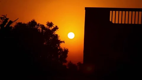 Beautiful Sunset Timelapse with Tree Silhouette and Building Background Stock Footage 331618259