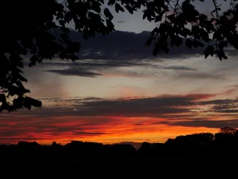 A beautiful sunset with a tree in the background Stock Photos