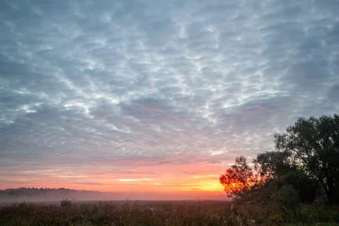 A beautiful sunset with a tree in the background Stock Photos