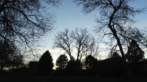 Beautiful sunset from trees to sky - Drone camera moves up Stock Footage 137886509