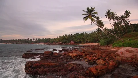 Beautiful sunset on a tropical beach Stock Footage 80444306