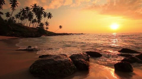 Beautiful sunset on a tropical beach Video stock 80445956