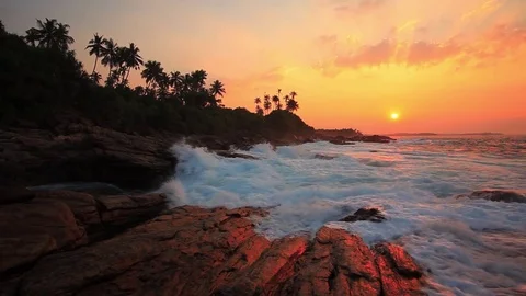 Beautiful sunset on a tropical beach Stock Footage 80450008