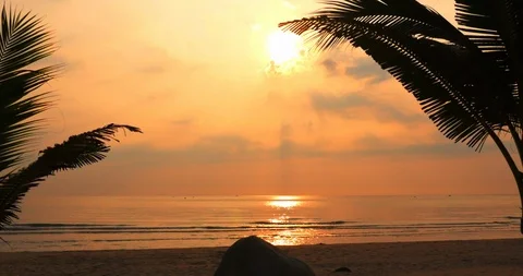 Beautiful Sunset in the Tropics on the Backdrop of the Ocean and Coconut Leaves Stock Footage 107646010