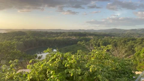 Beautiful sunset view of a beach over a lush green forest Stock-Footage 239123956