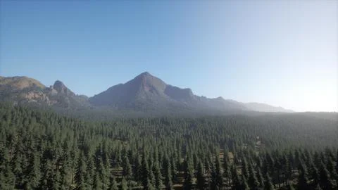 Beautiful sunset view in cedar forest in front of sayan mountain range Stock-Illustration